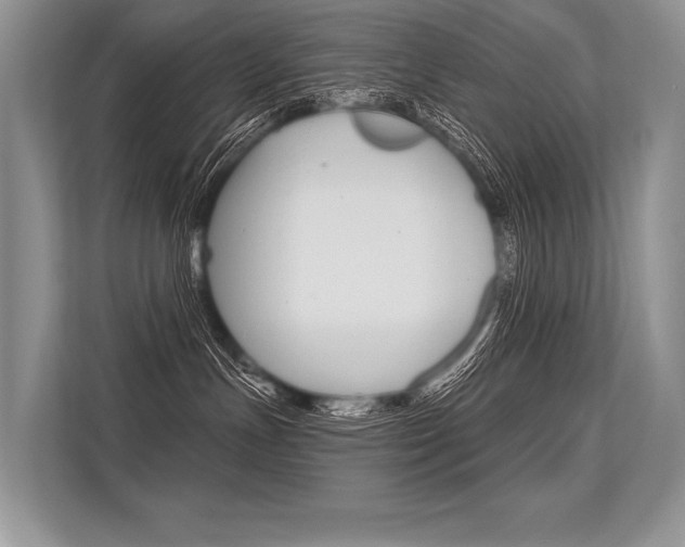 X0000113570191200909181007