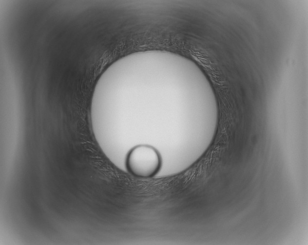 X0000113570192200909181007