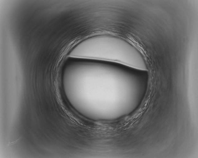 X0000113570193200909181006