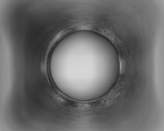 X0000113570195200909181006