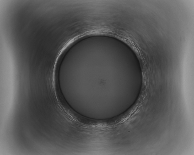 X0000113570196200909181006