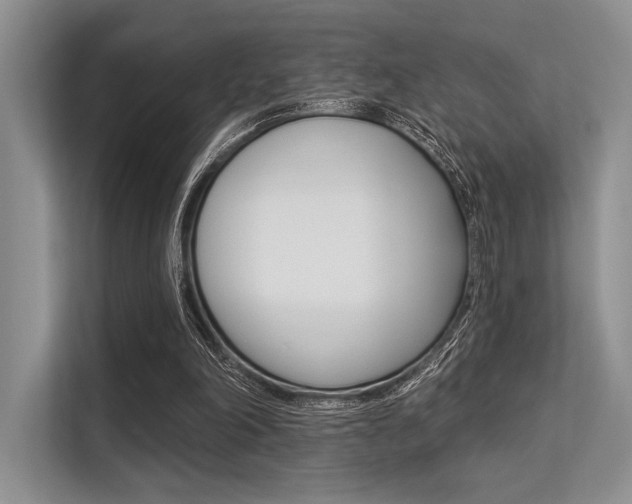X0000113570198200909181006