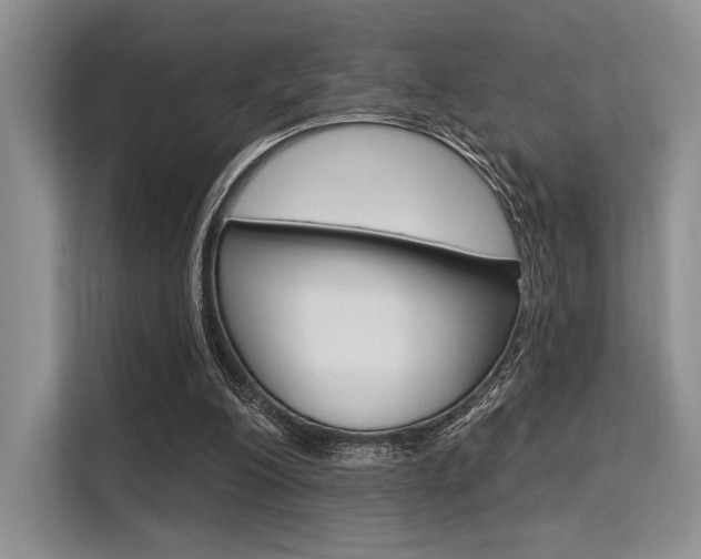 X0000113570200200909181006