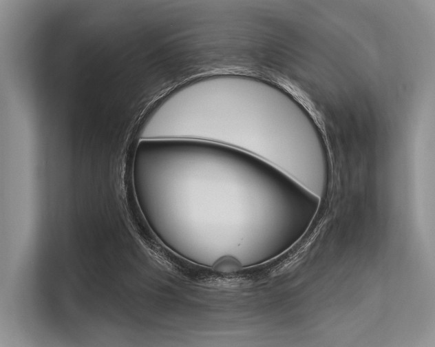 X0000113570201200909181006