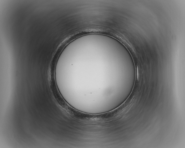 X0000113570204200909181006