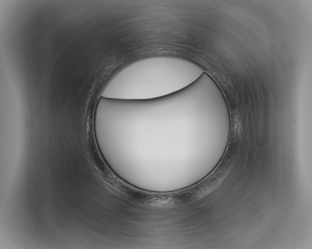 X0000113570206200909181006