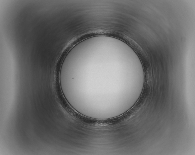 X0000113570208200909181006