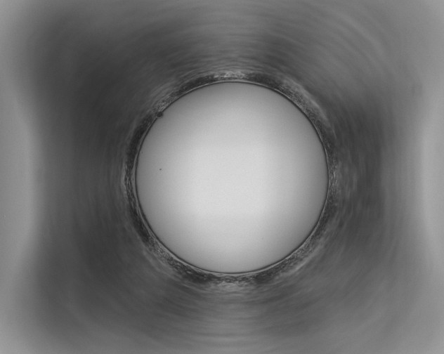X0000113570209200909181006