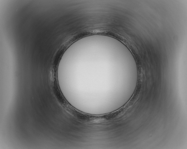 X0000113570210200909181006