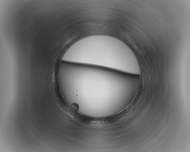 X0000113570211200909181006