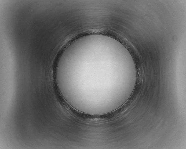 X0000113570212200909181006