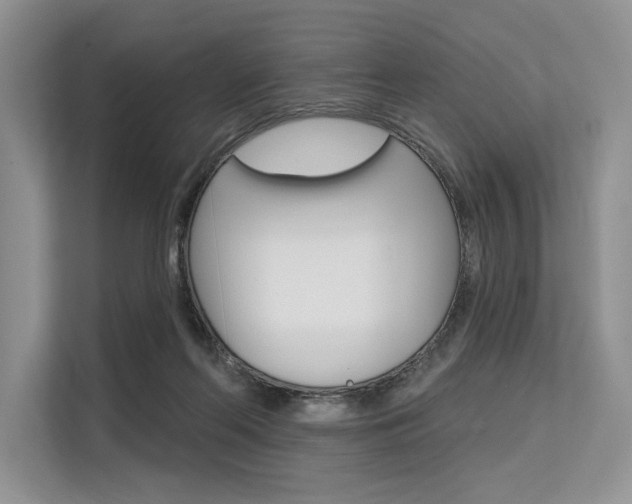 X0000113570214200909181006