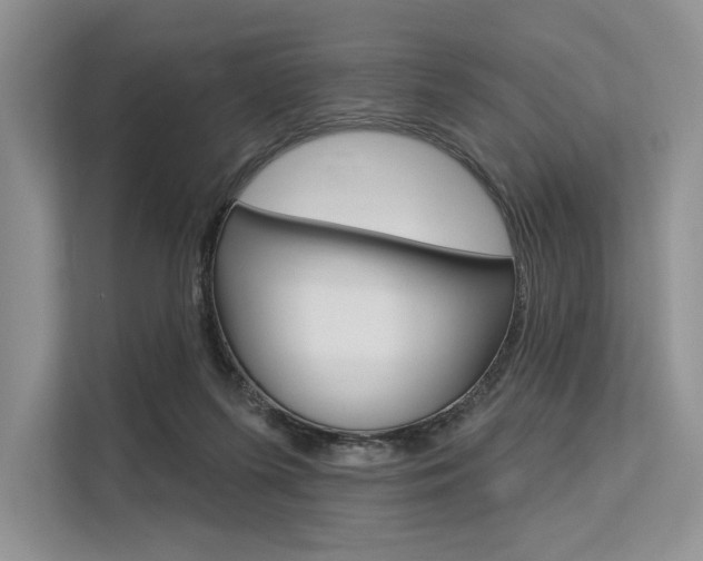 X0000113570215200909181006