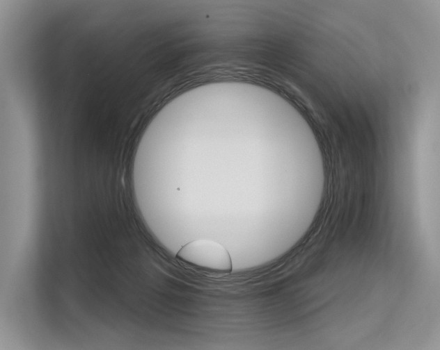 X0000113570217200909181006