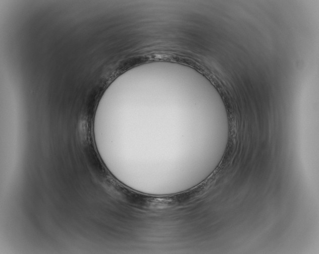 X0000113570222200909181006