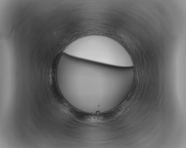 X0000113570223200909181006