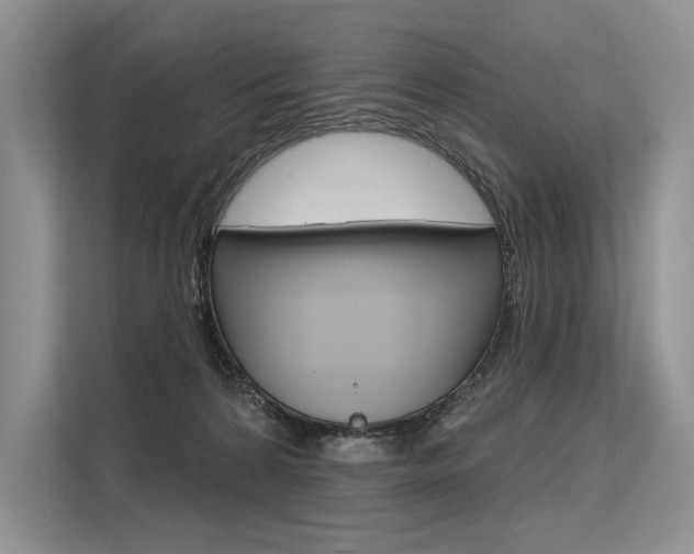 X0000113570224200909181006