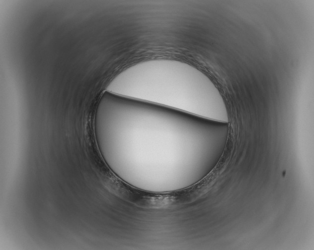 X0000113570225200909181006