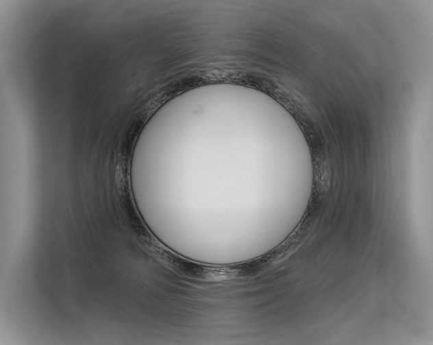 X0000113570226200909181006
