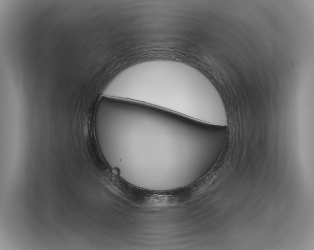 X0000113570227200909181006