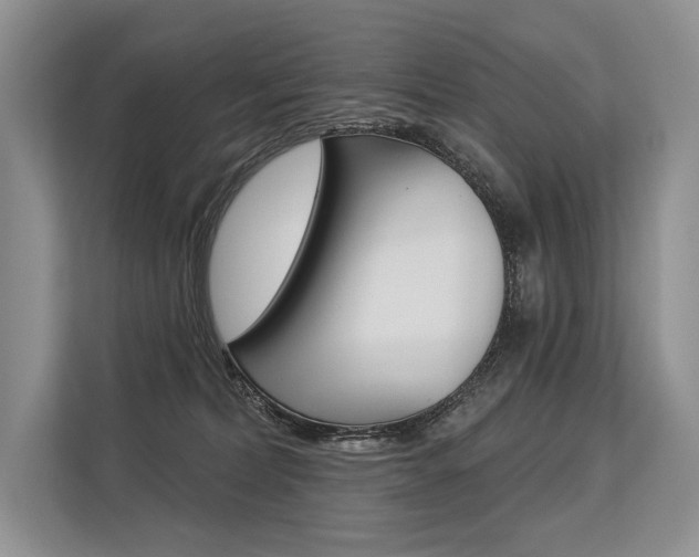 X0000113570228200909181006