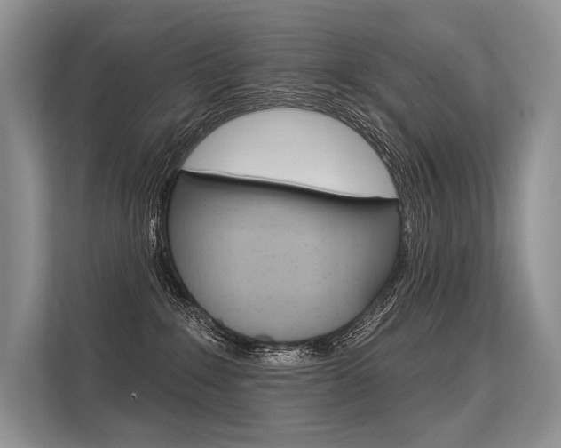 X0000113570235200909181006