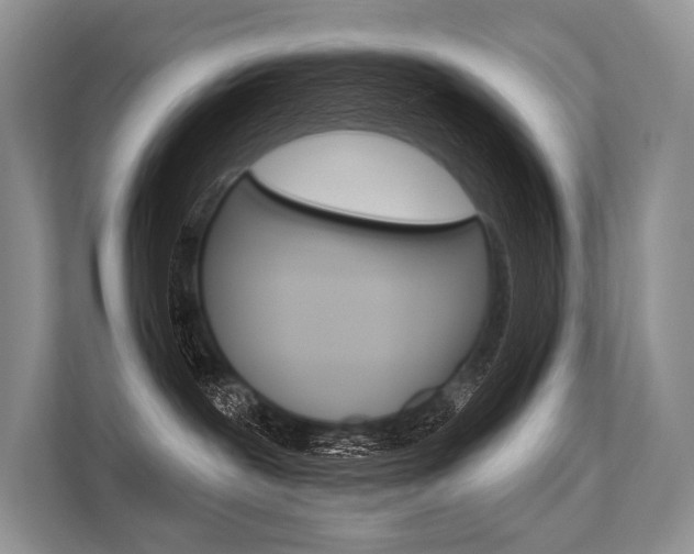 X0000113570239200909181005