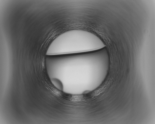 X0000113570240200909181005