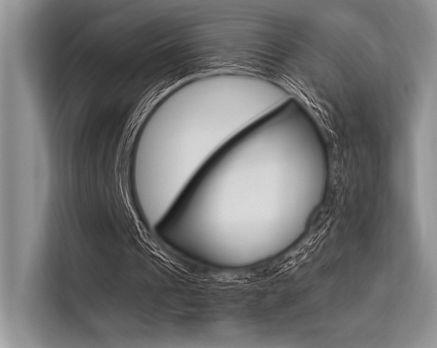X0000113570241200909181005