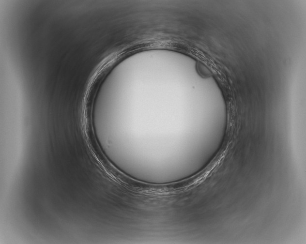 X0000113570245200909181005