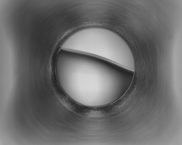 X0000113570256200909181005