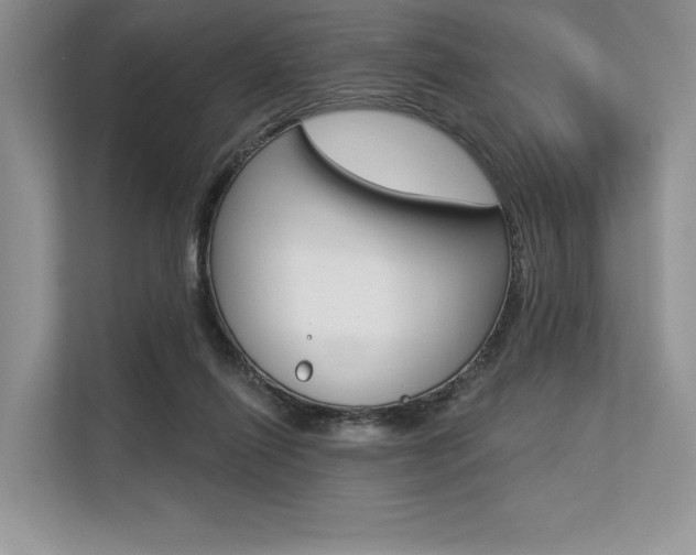 X0000113570262200909181005