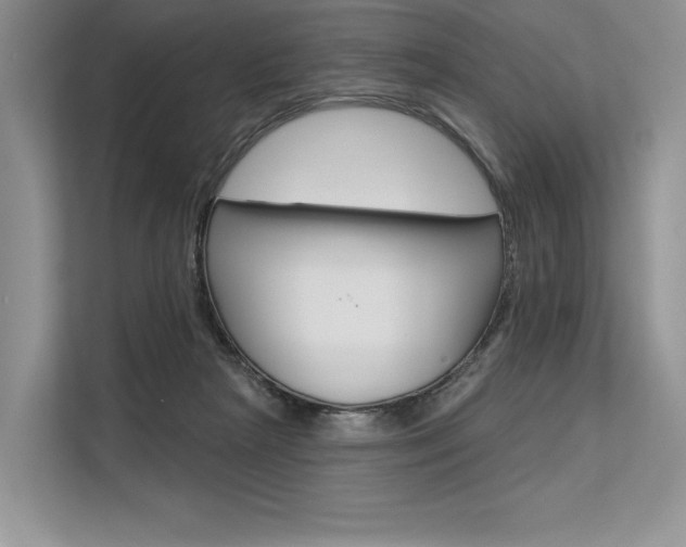 X0000113570265200909181005