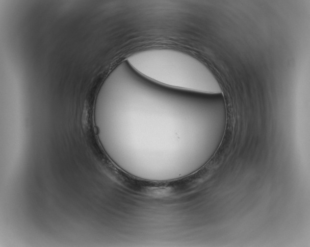 X0000113570266200909181005