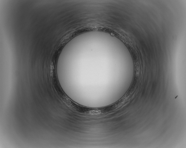 X0000113570279200909181005