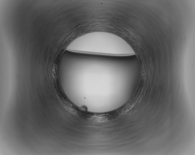 X0000113570280200909181005