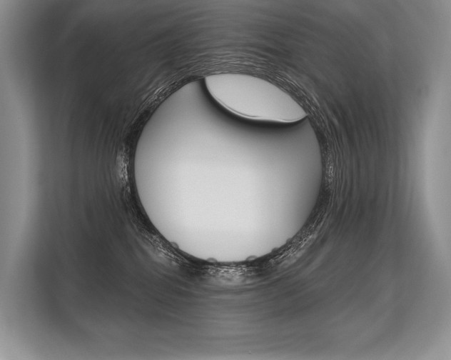X0000113570282200909181005