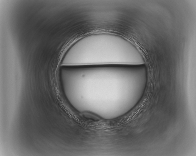 X0000113570289200909181005