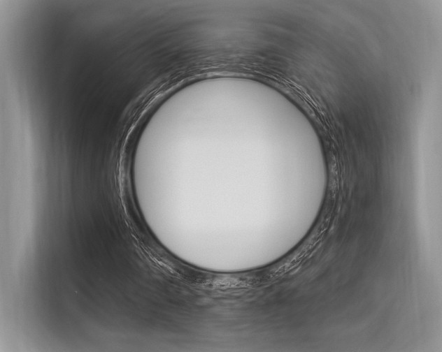 X0000113570290200909181005