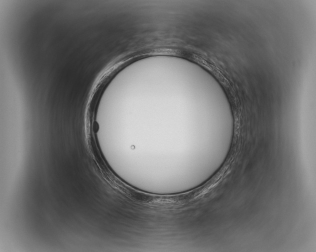 X0000113570294200909181005