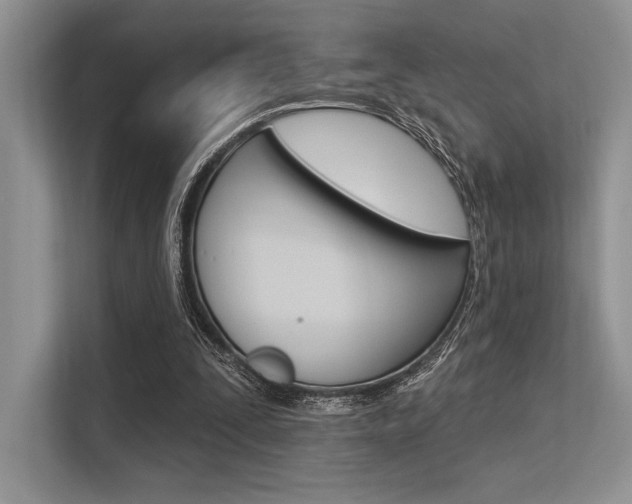 X0000113570295200909181005