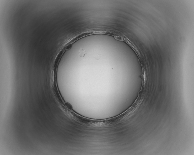 X0000113570301200909181005