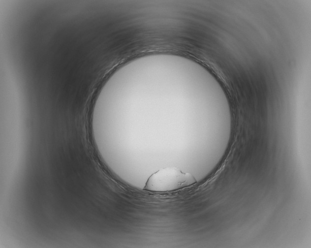 X0000113570305200909181005