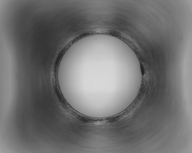 X0000113570306200909181005