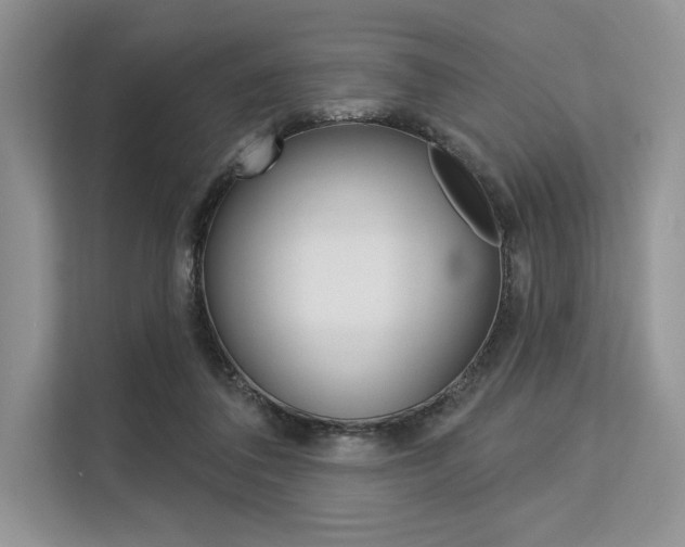 X0000113570308200909181005