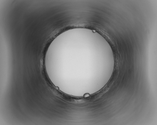 X0000113570309200909181005