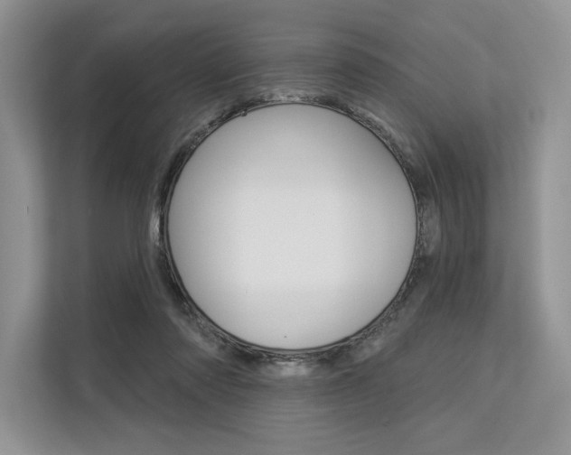 X0000113570310200909181005