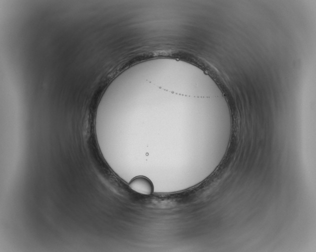 X0000113570311200909181005