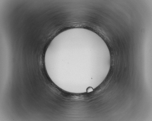 X0000113570317200909181004