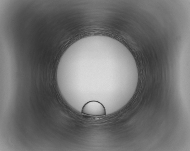 X0000113570320200909181004